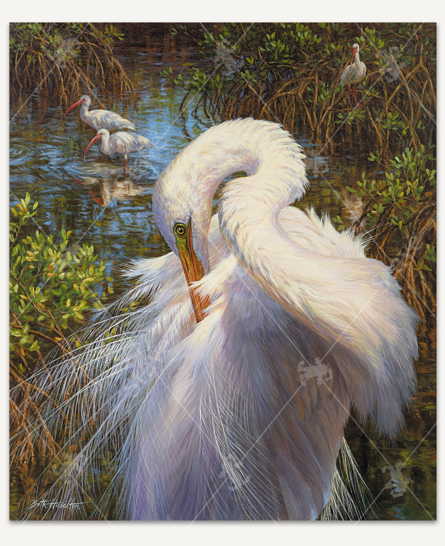 Biscayne Afternoon_1