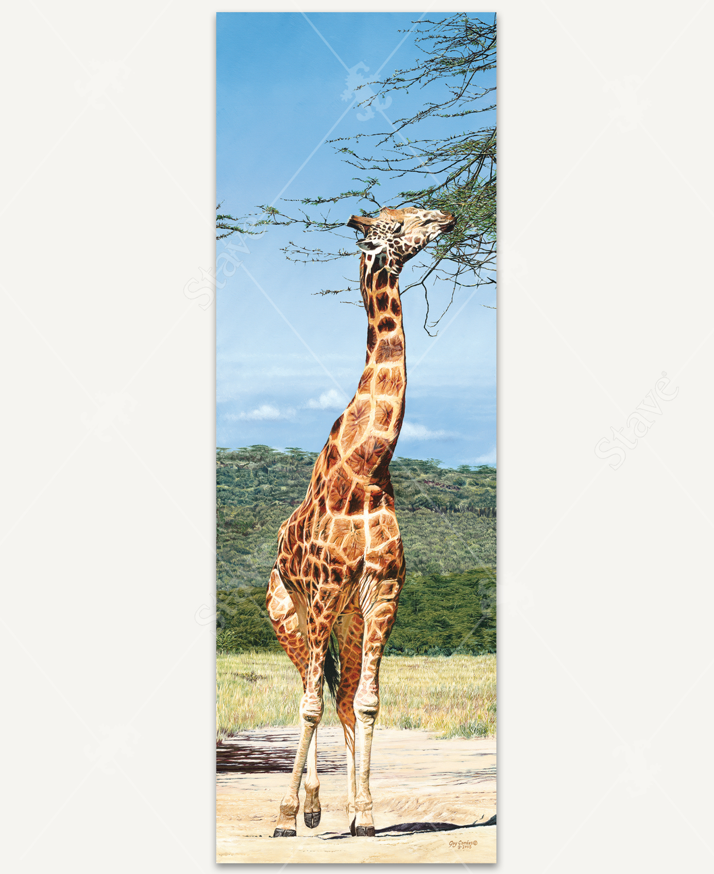 Rothschild Giraffe, a traditional puzzle - Stave Puzzles