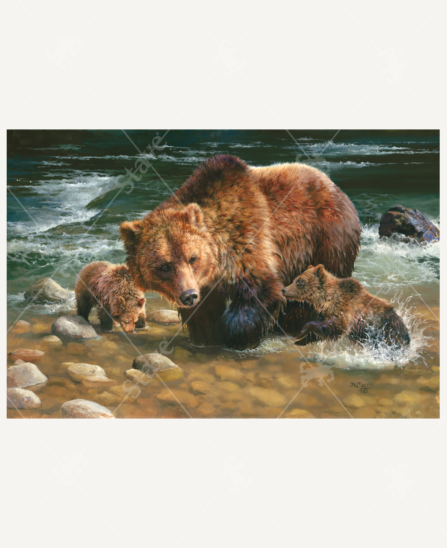 Testing The Waters_1