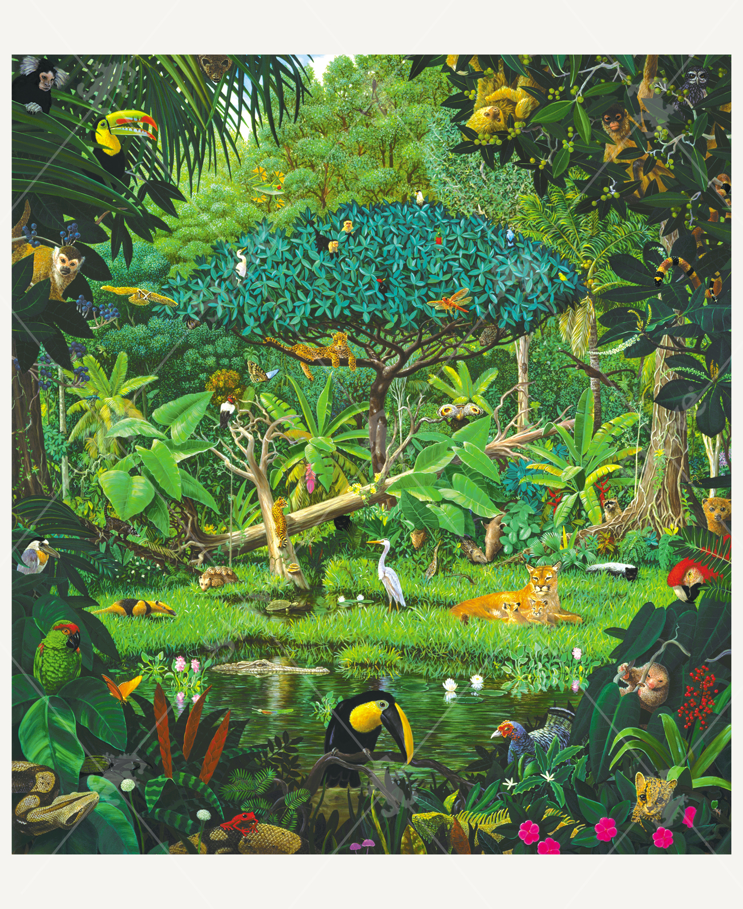 Secrets Of The Rainforest, a traditional puzzle - Stave Puzzles