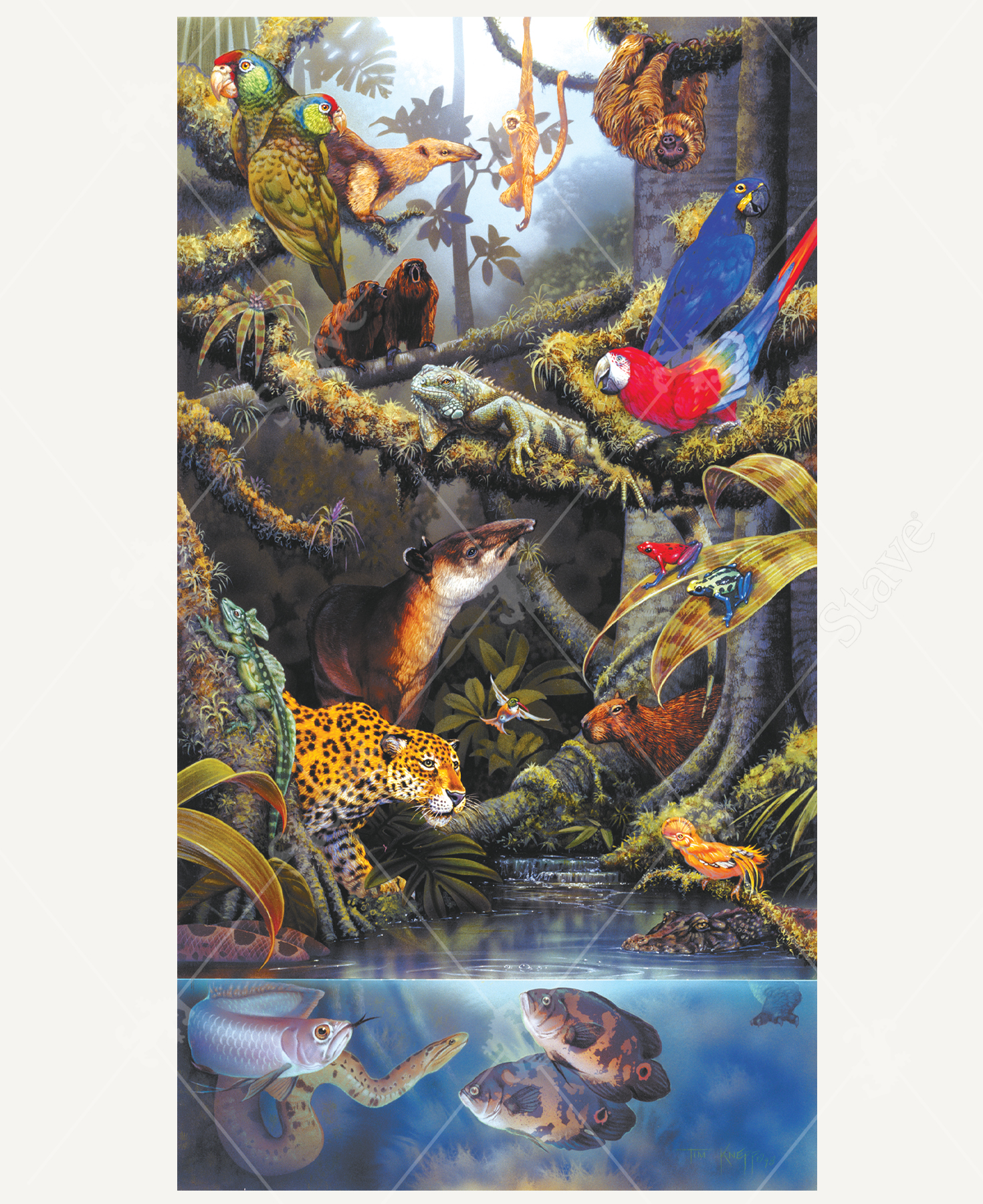 Jungle Fever, a traditional puzzle - Stave Puzzles