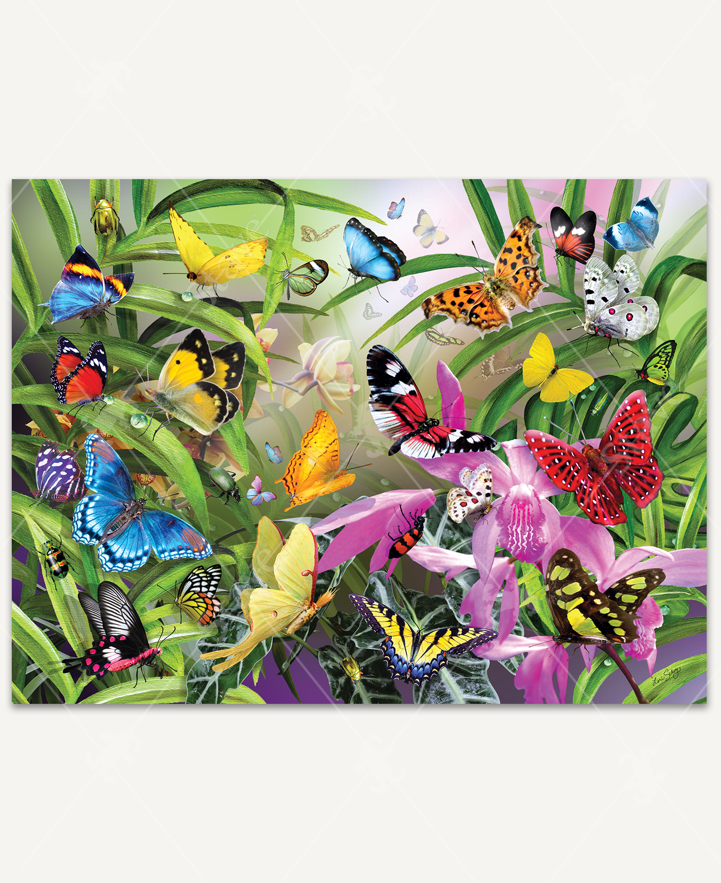 Tropical Butterflies, a traditional puzzle - Stave Puzzles