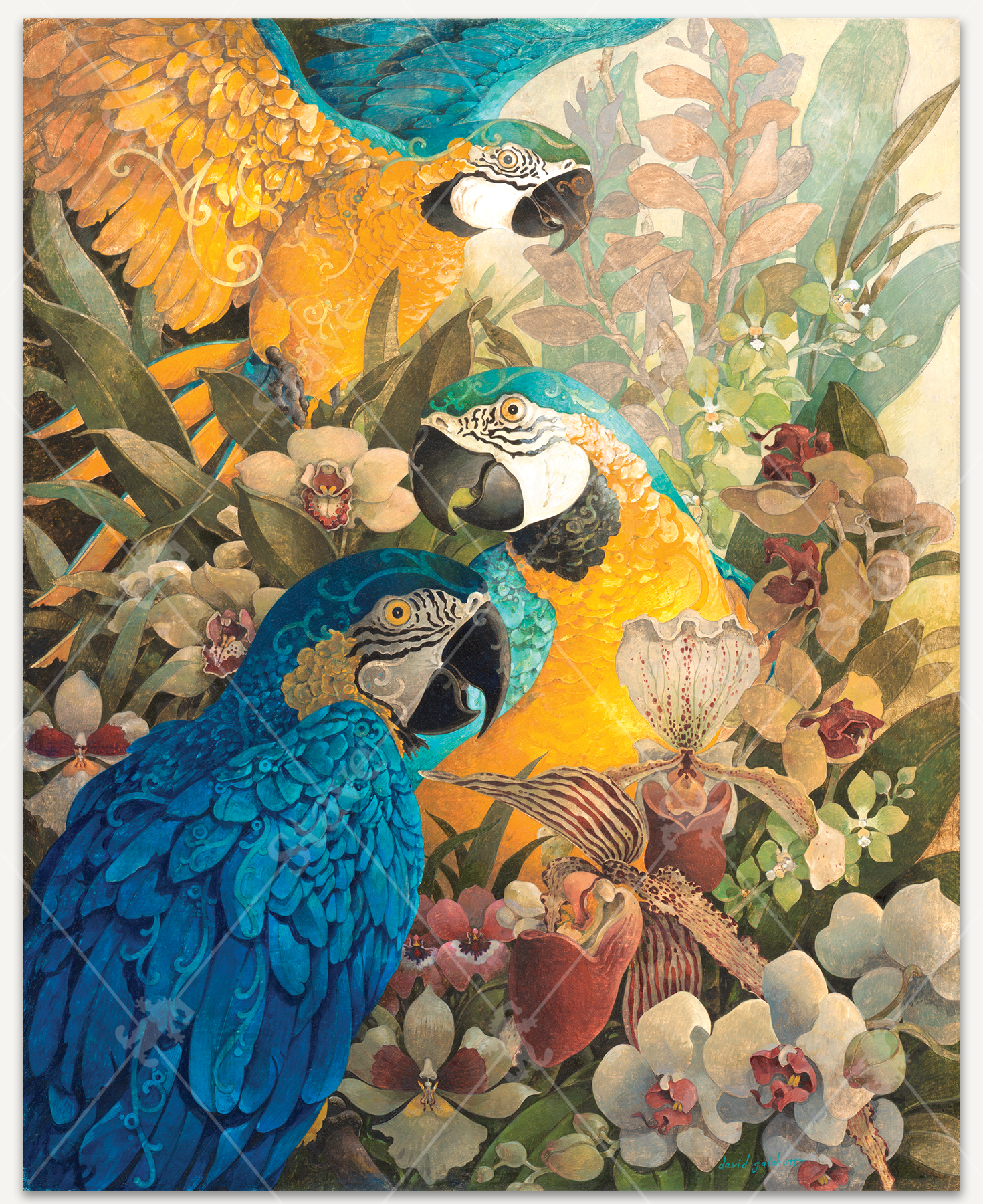 The Amazon wooden jigsaw puzzle introduces three macaw parrots sitting on the rain forest floor, surrounded by tropical flowers and plants. One macaw has its wings spread out as sunlight shines on the birds.