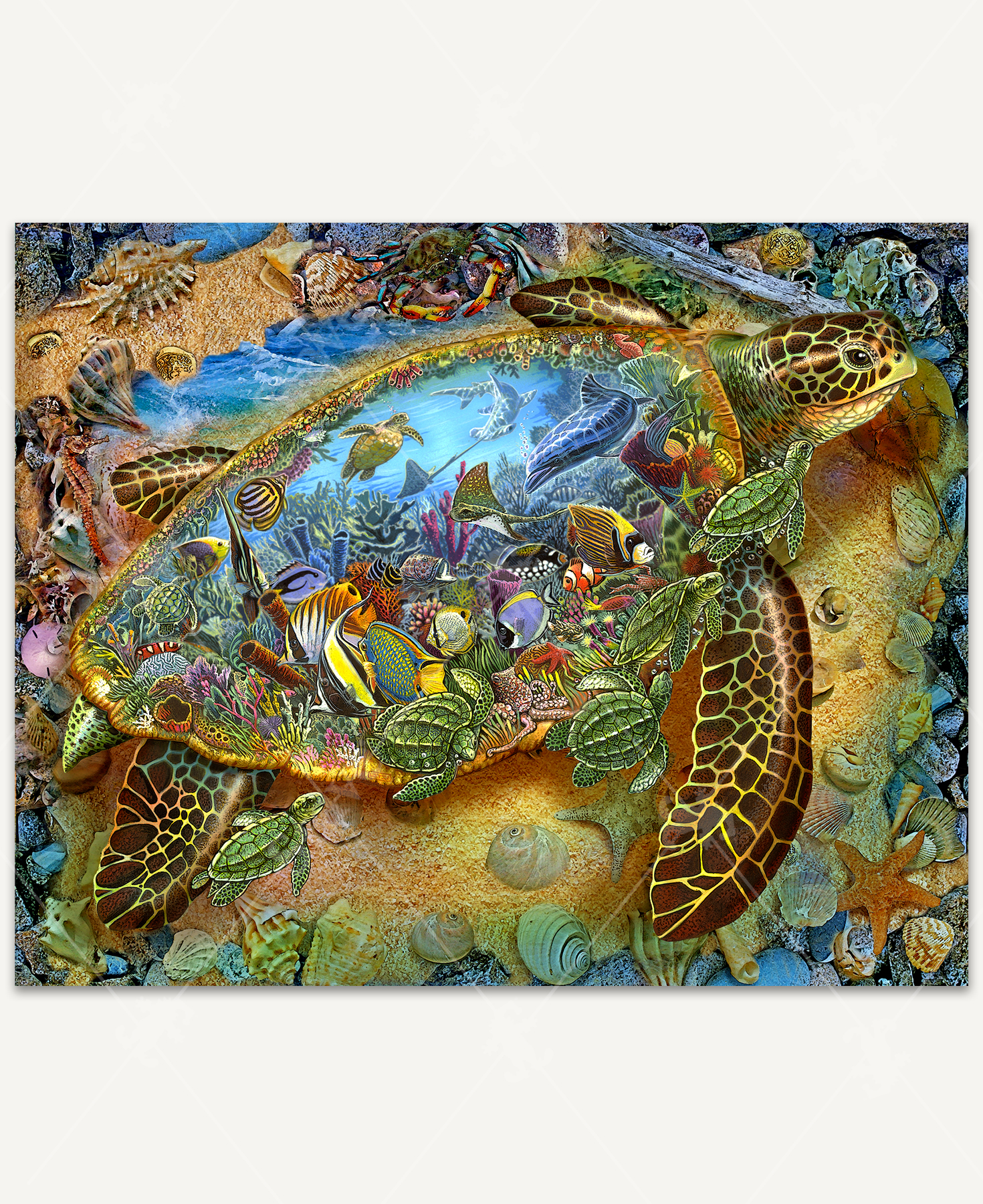 Anatolian/perre Group - Ana.3048 - Puzzle Classique - Home Sweet Ho 1000 Pieces Amz B00ajk5la0