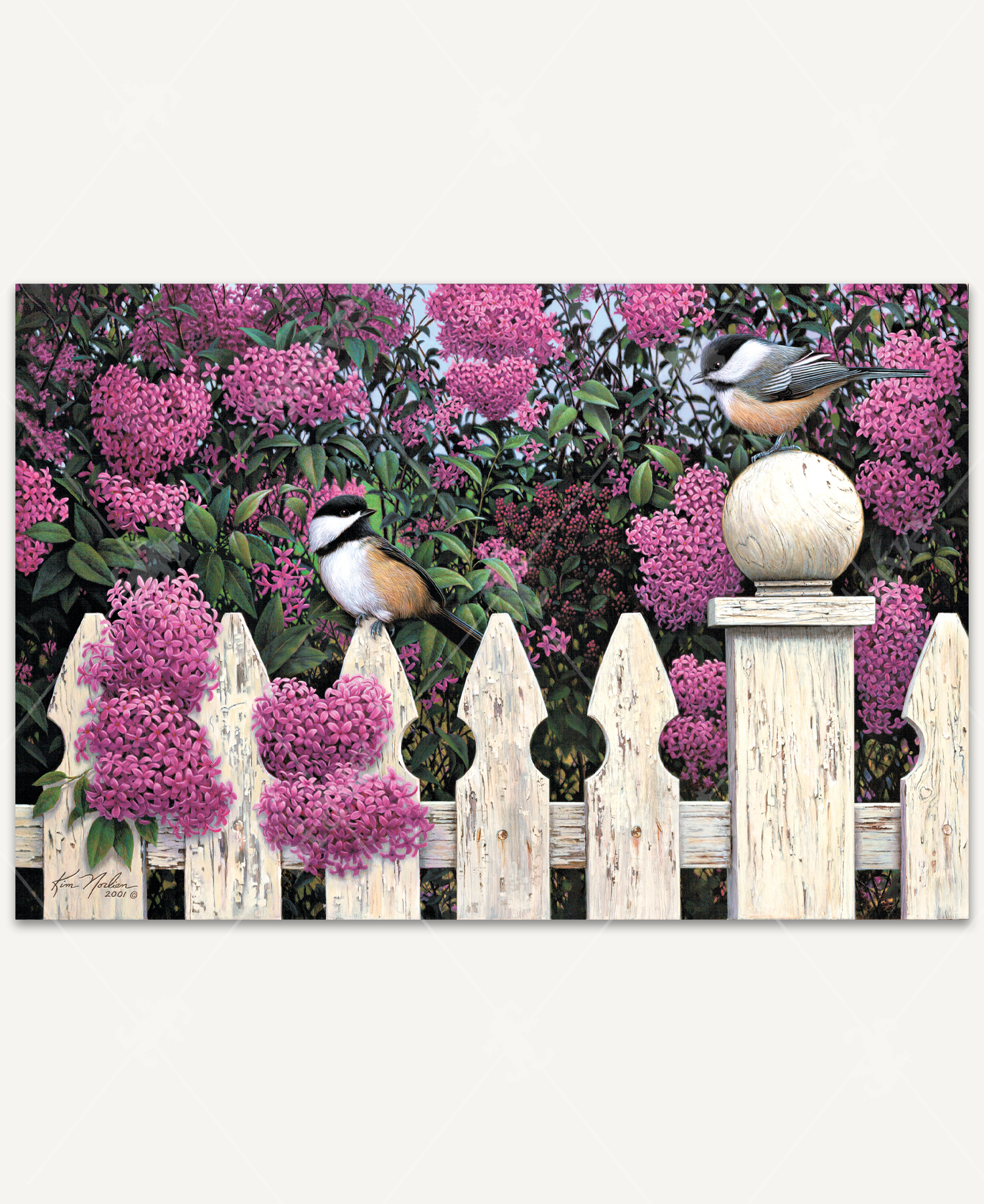 Love Song wooden jigsaw puzzle shows two chickadees sitting on a white fence in front of a vibrant pink lilac bush. One bird sits on the picket fence and looks back at the other bird that is sitting higher up on the post. Some of the lilacs form heart shapes from the blossoms.