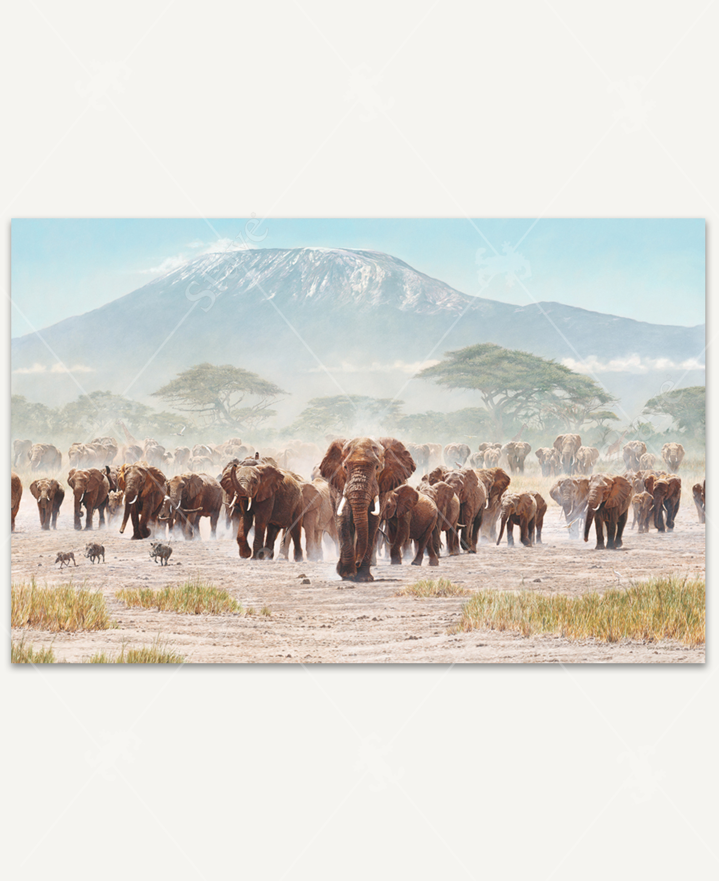 Passage Of Promise_1