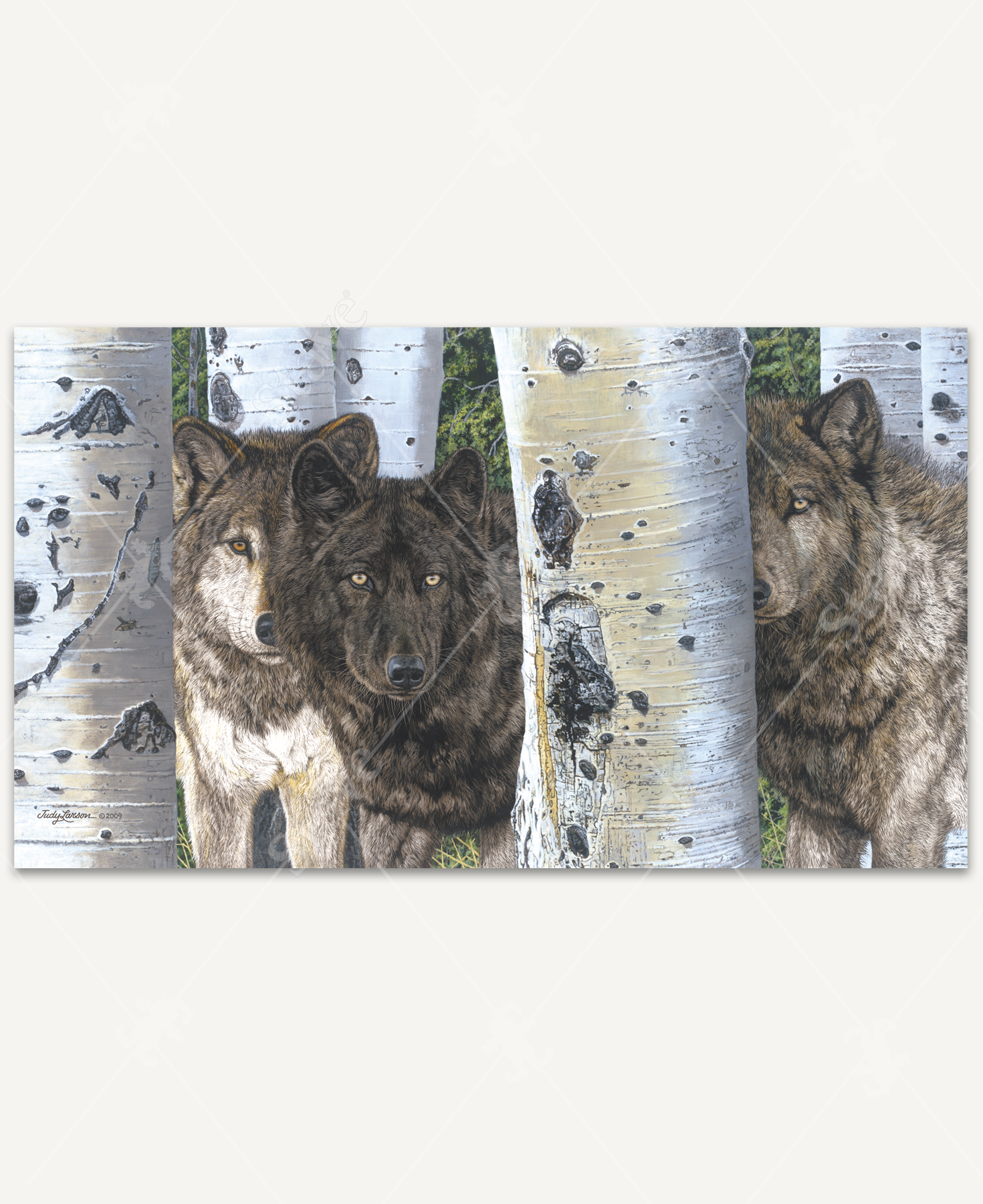 Brothers And Sisters_1