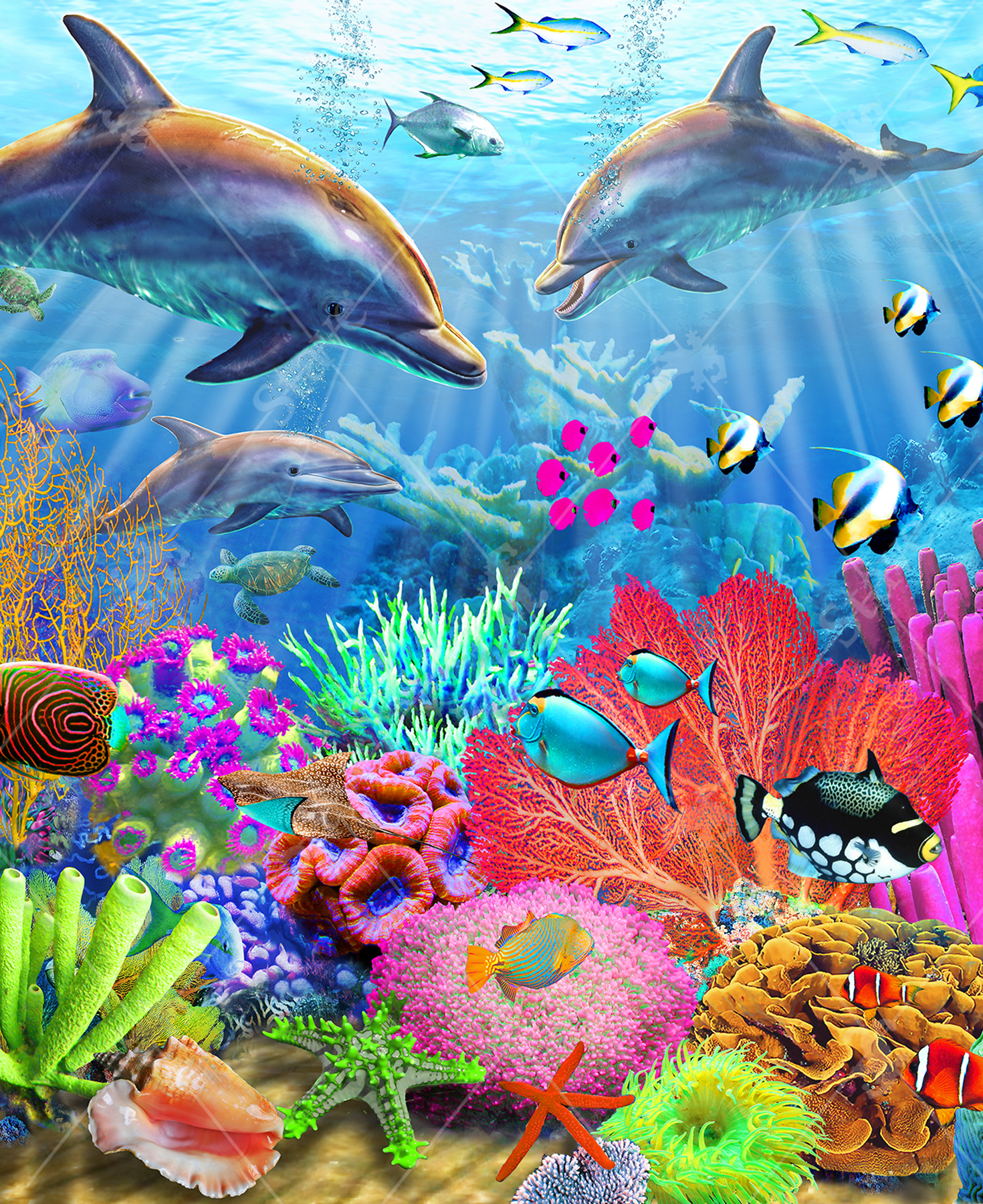 Dolphin Coral Reef, a traditional puzzle - Stave Puzzles