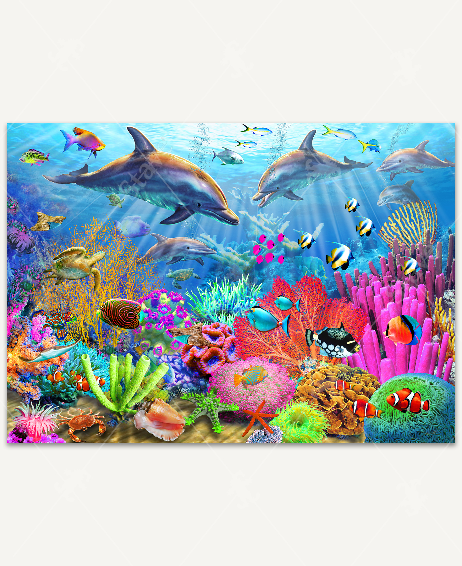 Dolphin Coral Reef, a traditional puzzle - Stave Puzzles