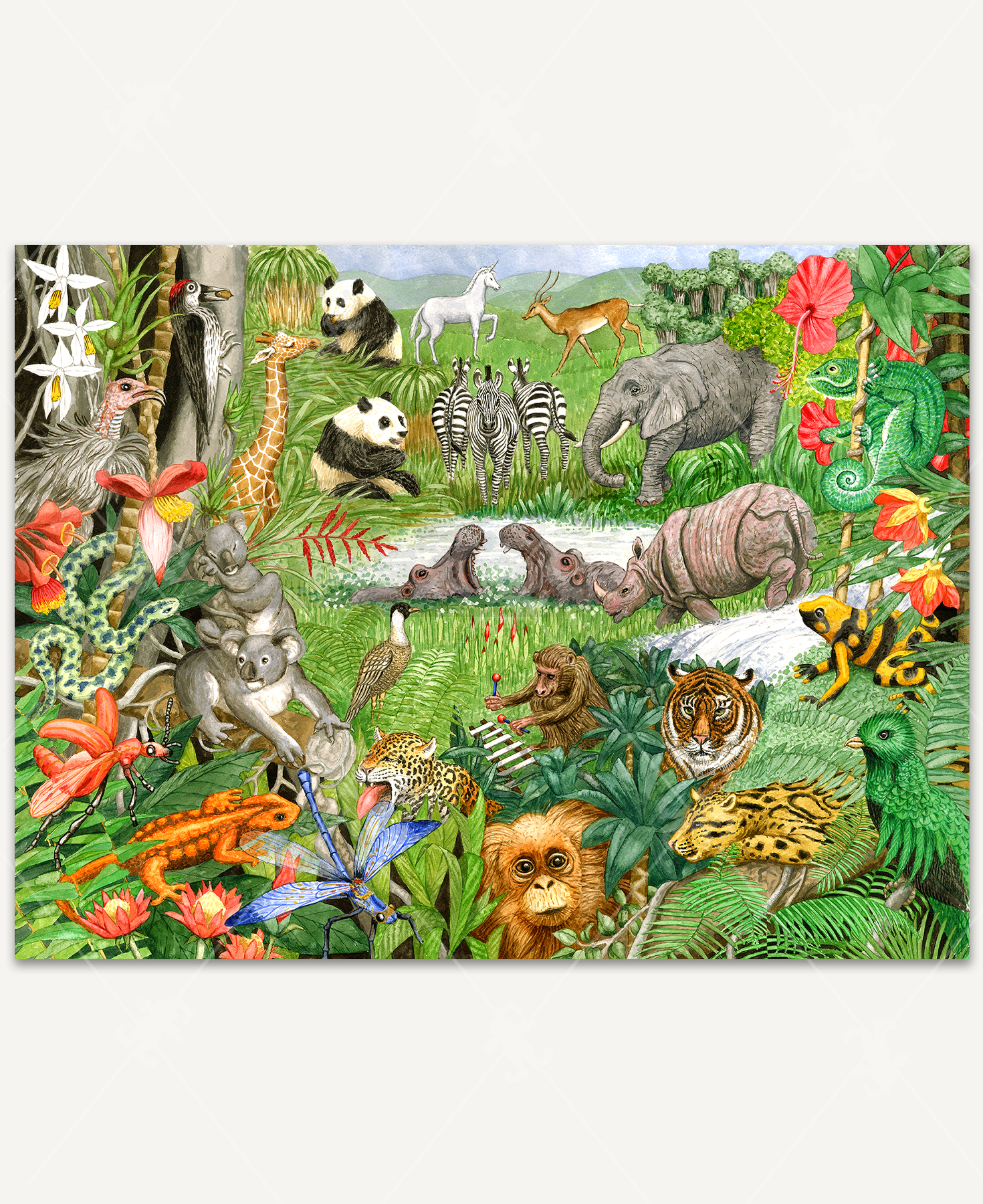 Full image showing variety of animals for every letter of the alphabet in a jungle