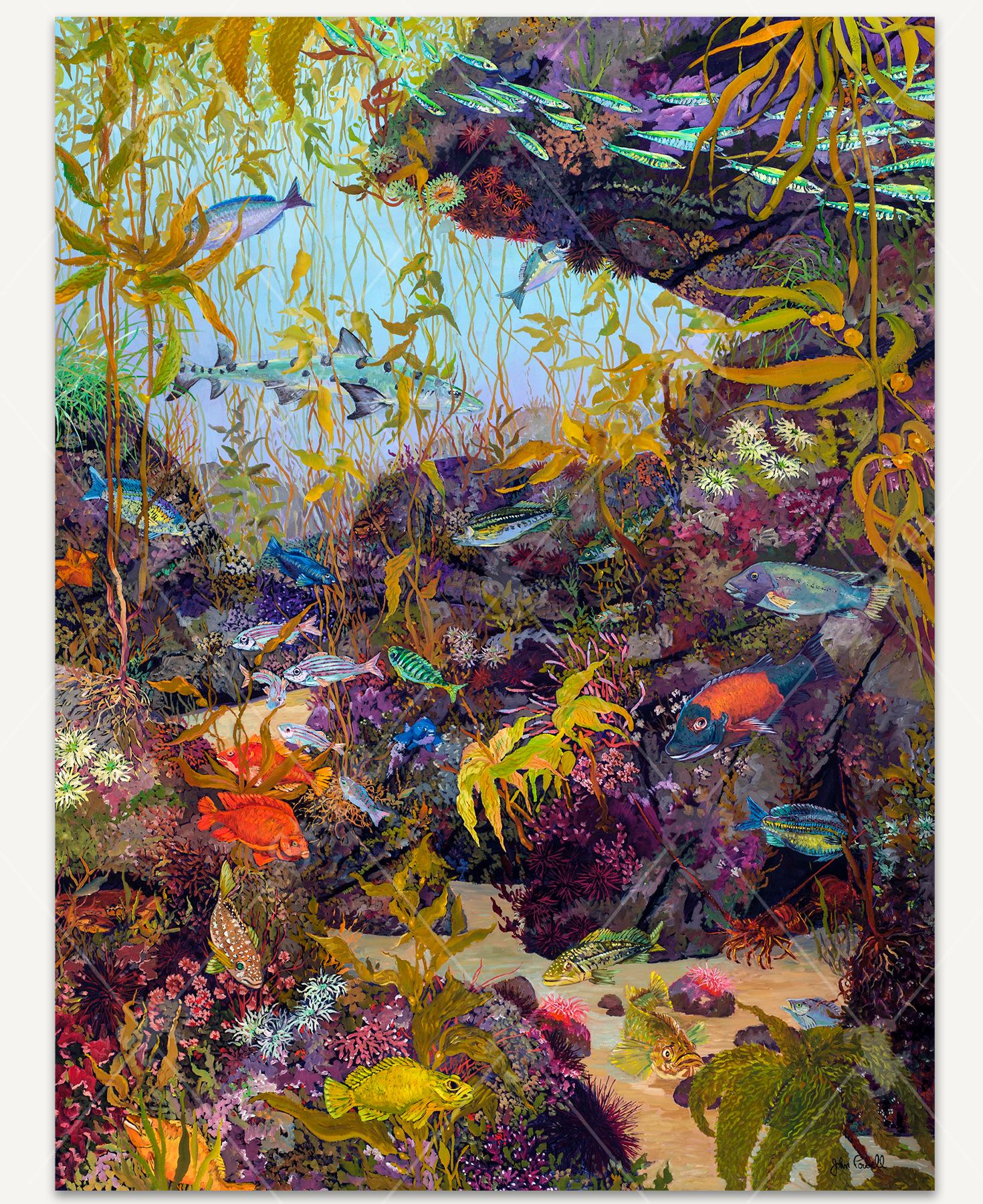 Pacific Visions Of Paradise