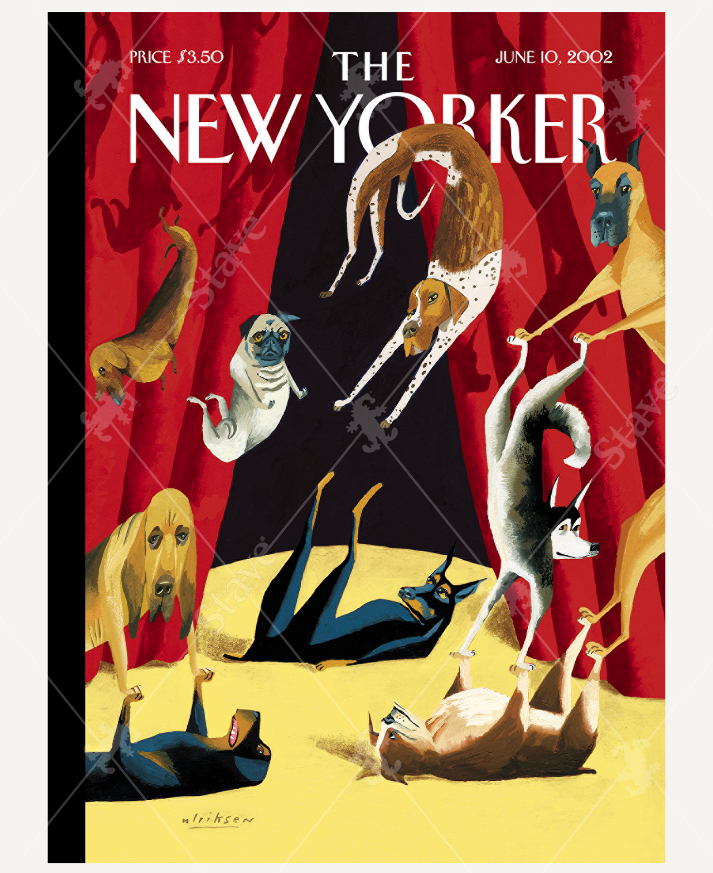 June 10, 2002 wooden jigsaw puzzle is a New Yorker cover of dogs performing acrobatic tricks on a stage with a red curtain background. Some of the dogs are balancing on top of each other and others are being flung up in the air.
