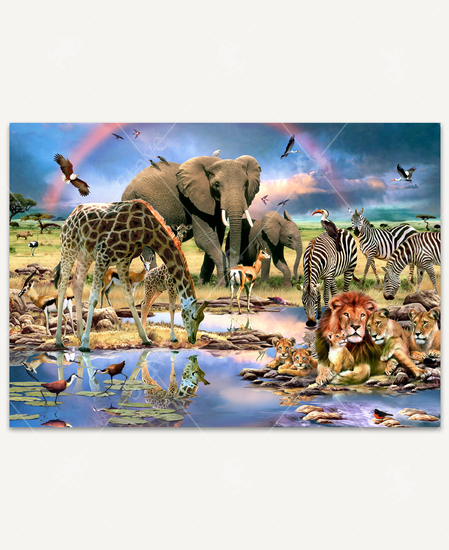Cradle Of Life wooden jigsaw puzzle unveils a scene of safari animals gathering together by a waterhole in the savannah. Lions, zebras, birds, elephants, and giraffes stop to get a drink of water and lounge on the grass. The dark sky suggests a storm passed over, leaving a rainbow stretching across the land.