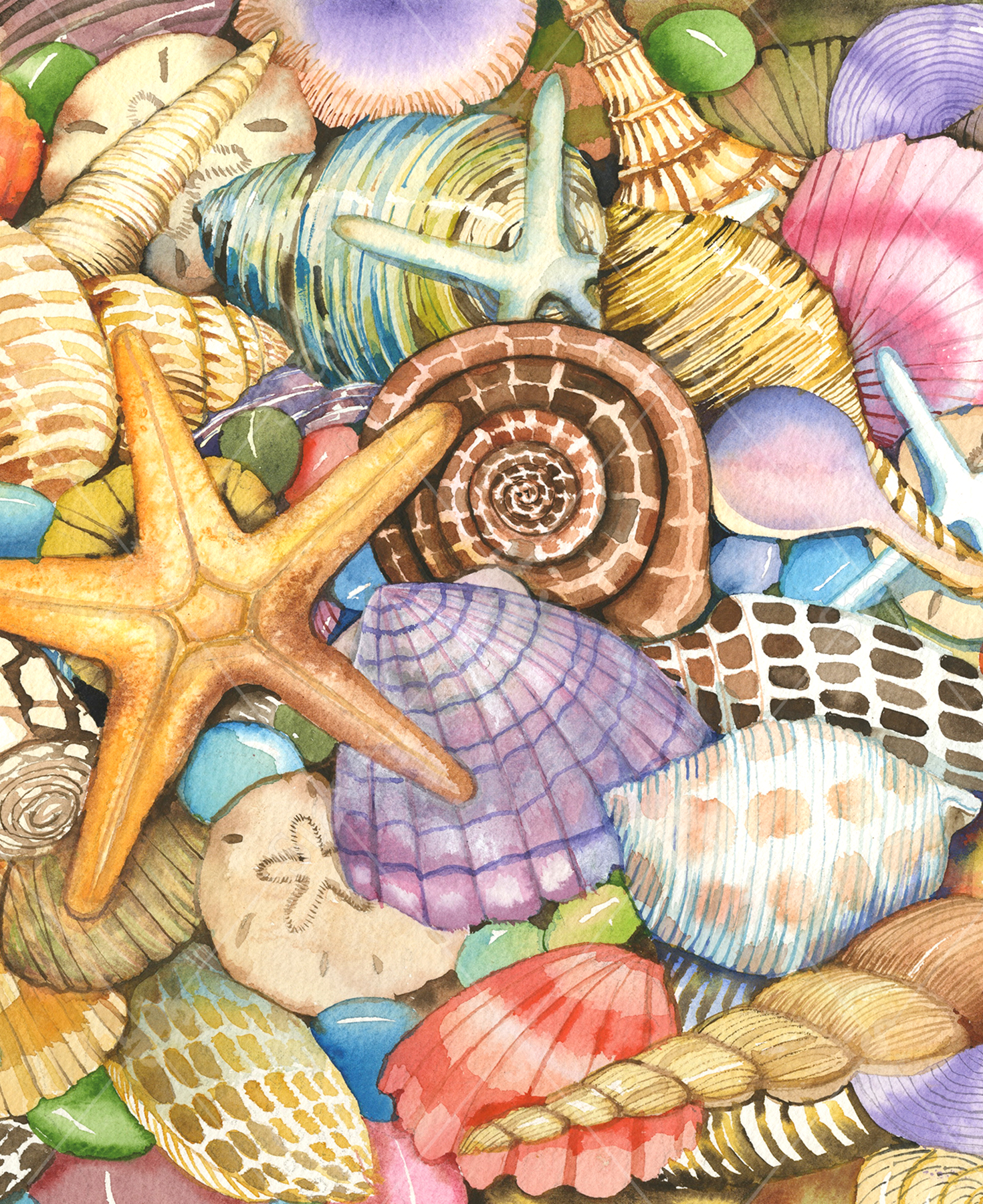 Shells Of The Sea, 200 Pieces