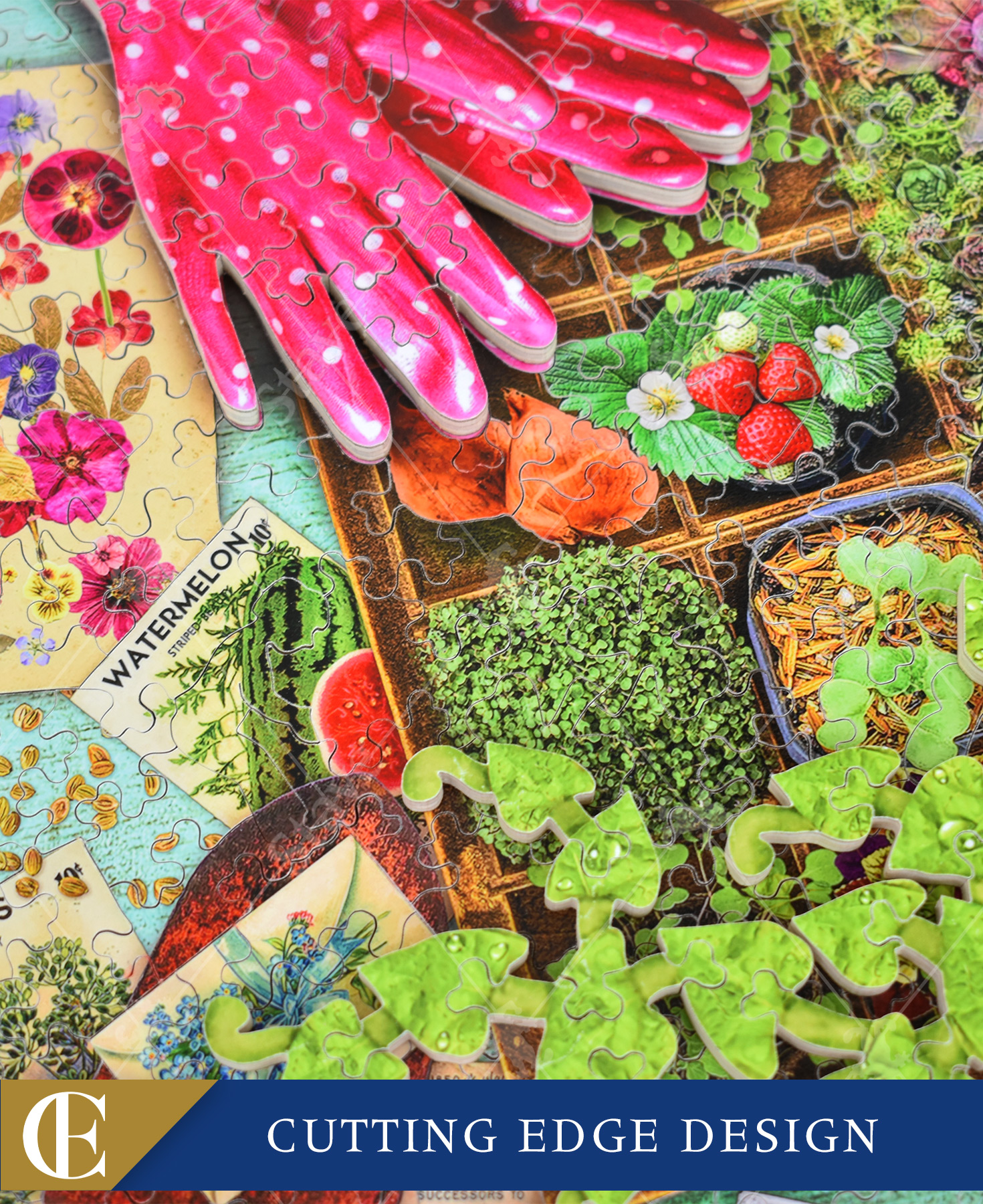 Love Grows Here Cutting Edge_1