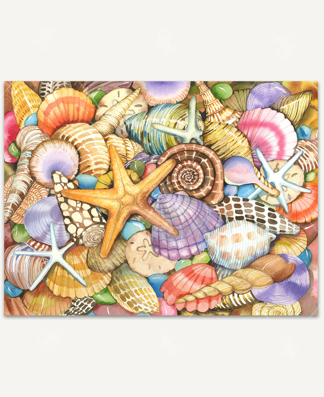 Shells Of The Sea wooden jigsaw puzzle showcases a variety of colorful sea shells, starfish, and sand dollars.