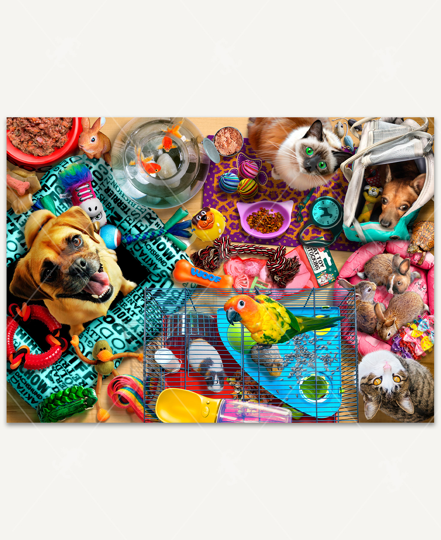Overhead of a cozy indoor pet scene featuring multiple animals- Puggle, goldfish, Siamese cat, Chihuahua, bunnies, Tabby cat, parrot, and guinea pigs- arranged in a warm, lived-in space.