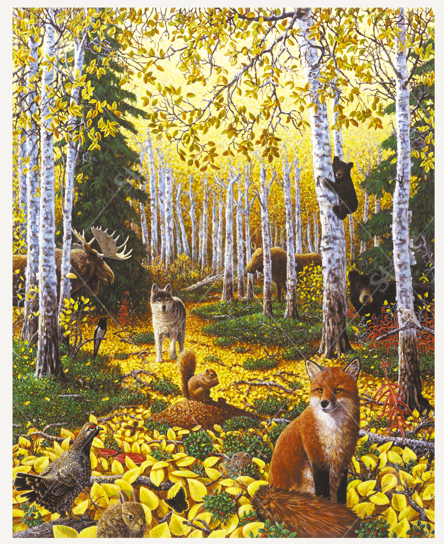 Alaska Autumn, 350 Pieces