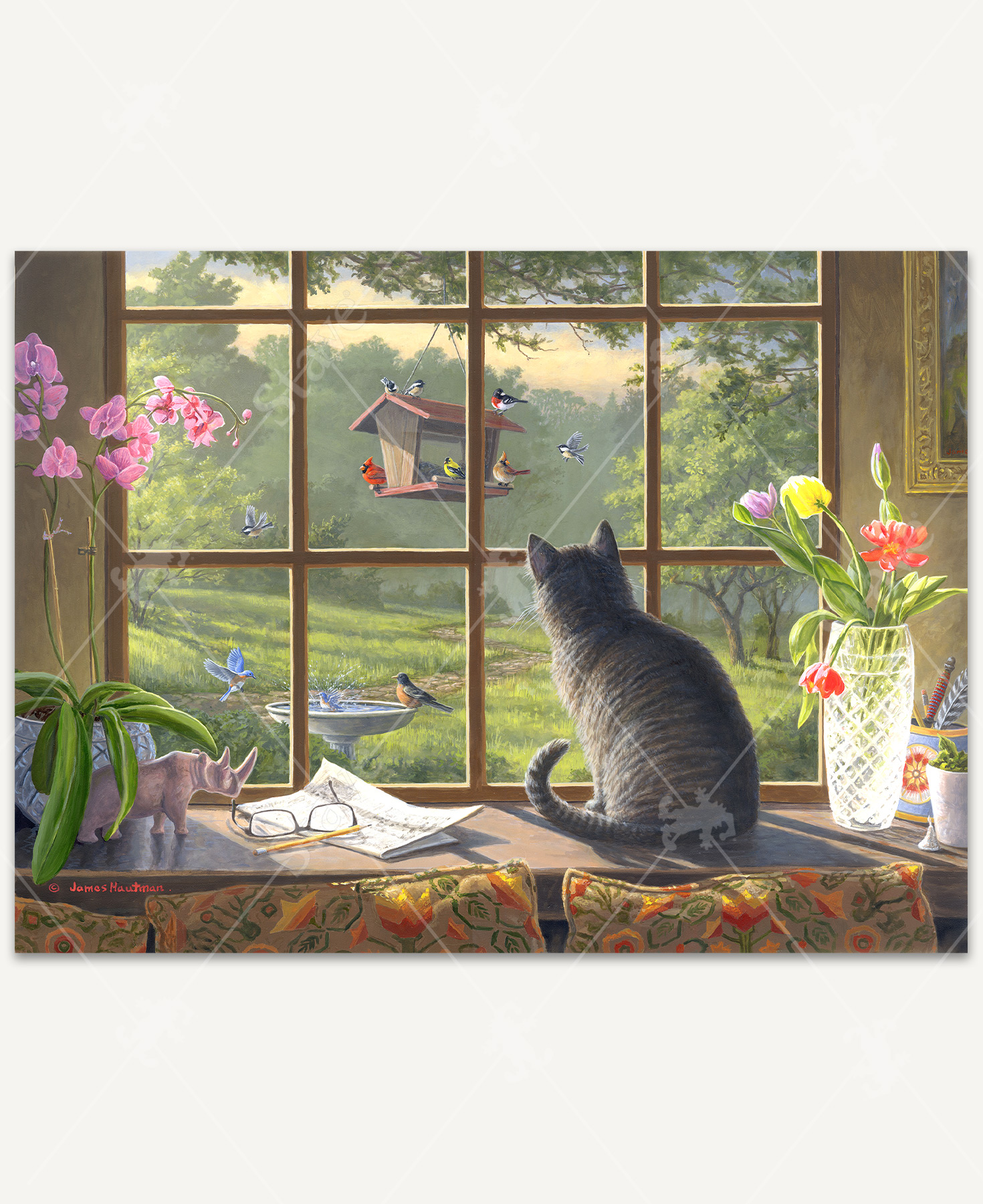 Birdwatching, 300 Pieces