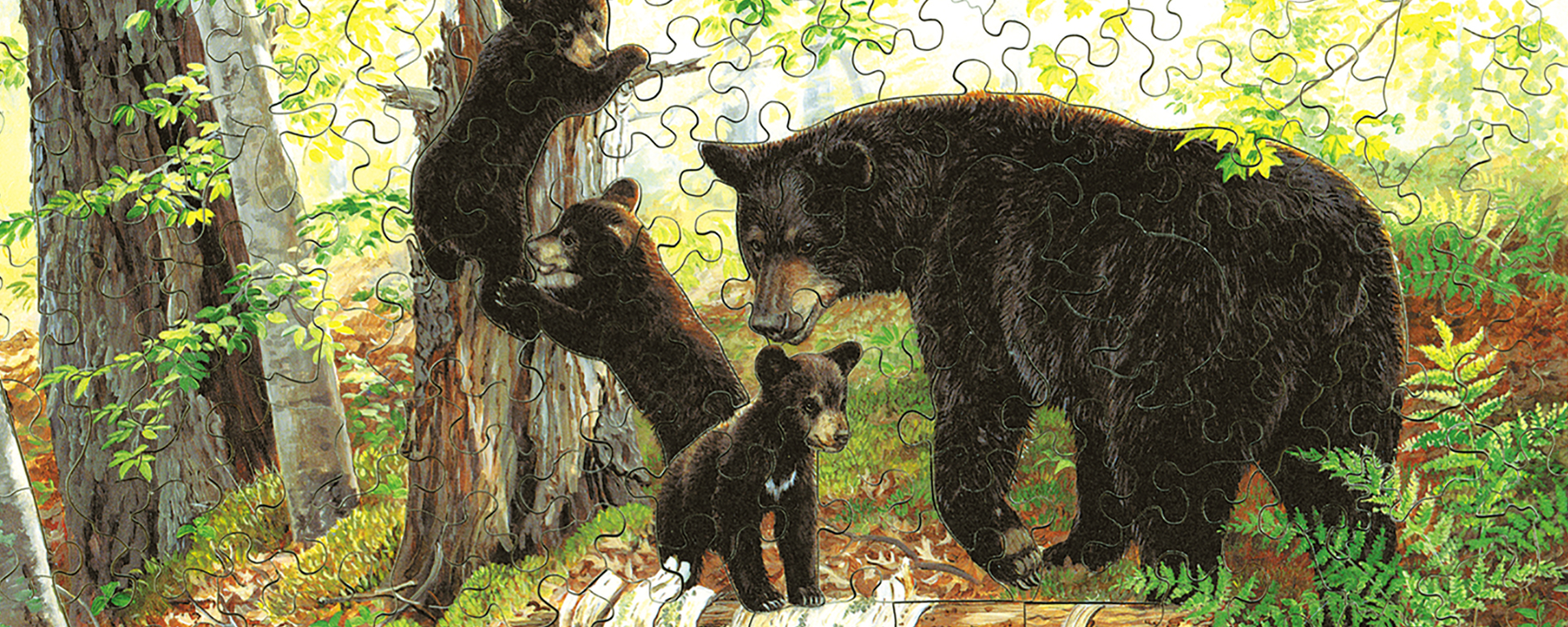 Wooden bear jigsaw puzzle featuring a mama black bear and her 3 cubs climbing a tree in the forest.