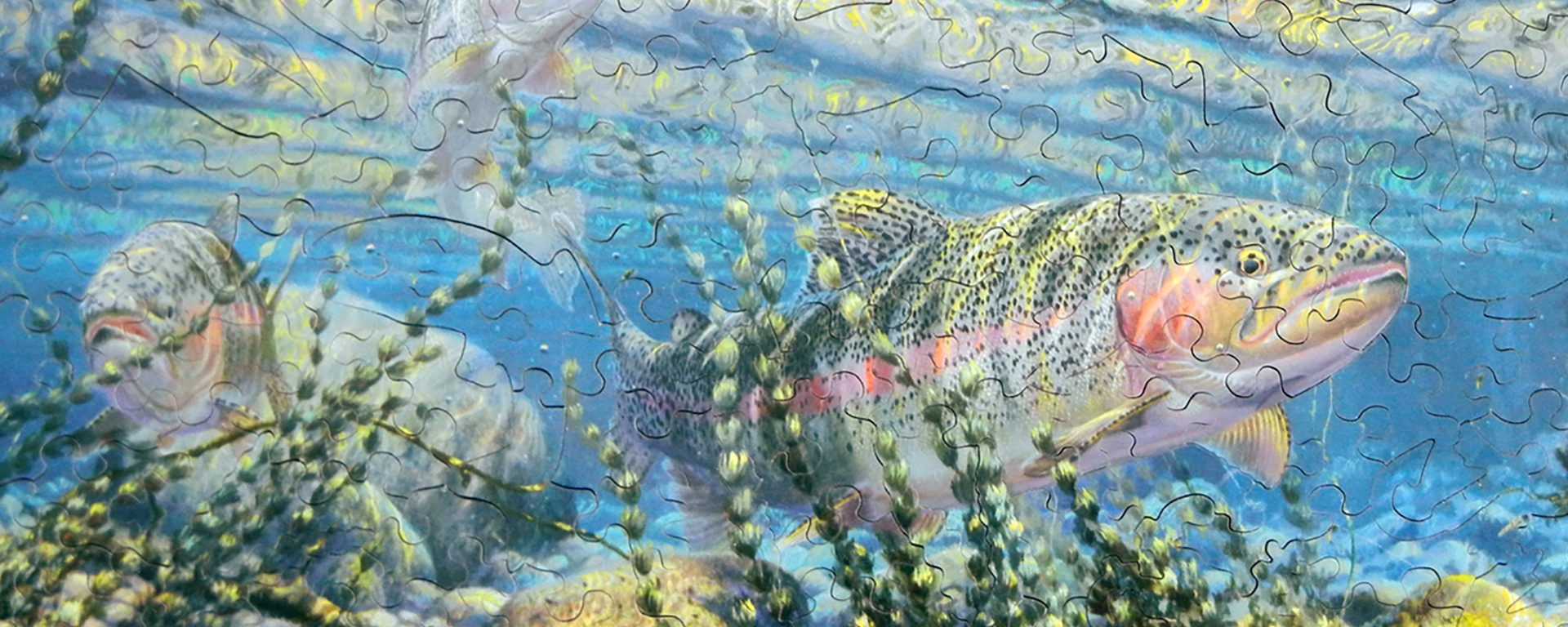 Wooden fish jigsaw puzzle featuring multiple rainbow trout in shallow water.