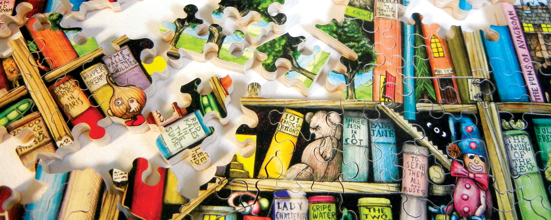 Wooden reading puzzle in progress illustrating bookshelves with all different kinds of books.