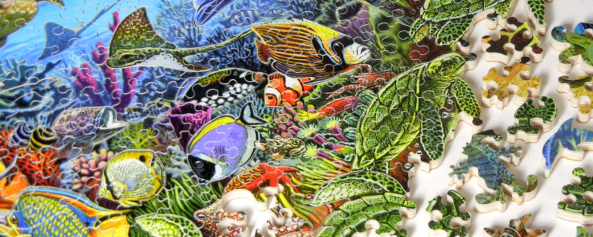 Wooden underwater puzzle in progress feauring the reef and animals such as stingrays, turtles, and a variety of fish with whimsy shaped pieces of the Stave logo and a dolphin.