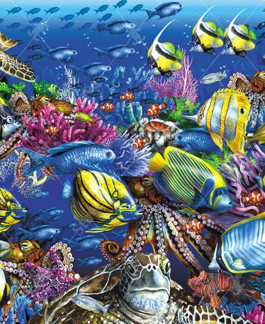 coral reef  18059__49641.1634002495.386.