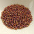 11/o Delica Beads TeaBerry Luster 5g Miyuki Cylinder DB1013 1013