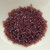 11/o Delica Beads Transparent Raspberry AB 5g Miyuki Cylinder DB104 No. 104