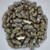 15 Beads - Delos® par Puca® Paris - Opaque Aqua New Picasso - Czech Glass
