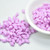 40 Beads - Gemduo Two Hole Beads Bondeli Matte Lilac Czech Glass Beads