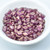 40 Beads - Gemduo 8x5mm Two Hole Beads Halo Persian Pink Czech Glass Bead