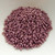10 grams - 11/0 Miyuki Japanese Seed Beads - Duracoat Galvanized Eggplant No. 4220