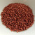10 grams - 11/0 Miyuki Japanese Seed Beads - Duracoat Galvanized Dark Berry No. 4212