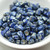 25 Beads Nib-Bit Two Hole 6x5mm - Royal Blue Picasso - Czech Glass