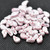30 Beads - Paisley Duo Two Hole Ionic White Red Czech Glass