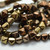 8mm Pyramid,12 beads, Beadstud 2-Hole Gold Bronze, Czech Glass