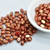 Samos® par Puca® (20 beads) 2-Hole 7x5mm Oval - Opaque Light Coral Bronze