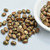 Samos® par Puca® (20 beads) 2-Hole 7x5mm Oval - Opaque Light Coral Gold Spotted