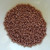 8 grams - 15/0 Miyuki Seed Beads - Duracoat Galvanized Dark Mauve No. 4213