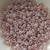 8/o TOHO Seed Beads Ceylon Grape Mist 25g Glass Bead No. 151