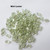 Zoliduo Right Option Crystal Mint Luster (30 Beads) Czech Glass