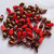 Zoliduo Right Opaque Red Valentinite (30 Beads) Czech Glass Beads