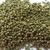 11/o TOHO Seed Beads Guilded Gold Marble Green 25g