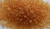 11/o Demi TOHO Glass Beads HYBRID Colortrend Spicy Mustard 10 Grams