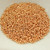15/0 TOHO 10 grams Seed Beads PermaFinish - Galvanized Rose Gold No. PF551