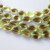 11x16mm Smooth Oval Jonquil Dark Amethyst (10 beads) Czech Glass Beads