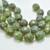 12mm Fire Polish, Green Picasso Luster, 10 Beads, Czech Glass