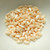 50 Beads - StormDuo 3x7mm 2-Hole S-Shaped - Champagne Luster - Czech Glass